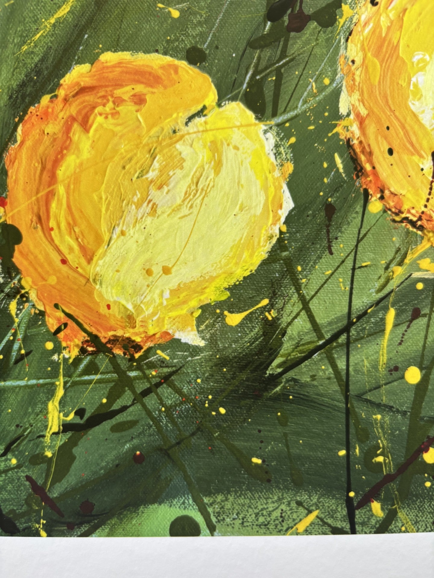 Lemon Bloom - Fine Art Prints