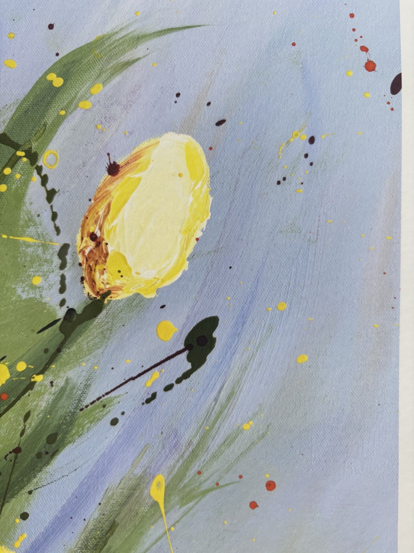 Lemon Bloom - Fine Art Prints